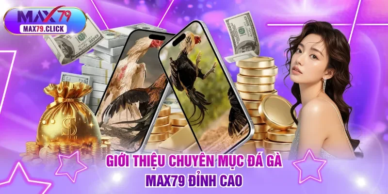 Giới thiệu chuyên mục đá gà MAX79 đỉnh cao